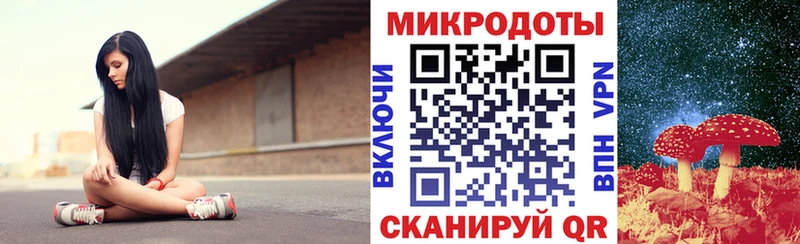 Псилоцибиновые грибы Psilocybe  Железногорск-Илимский 